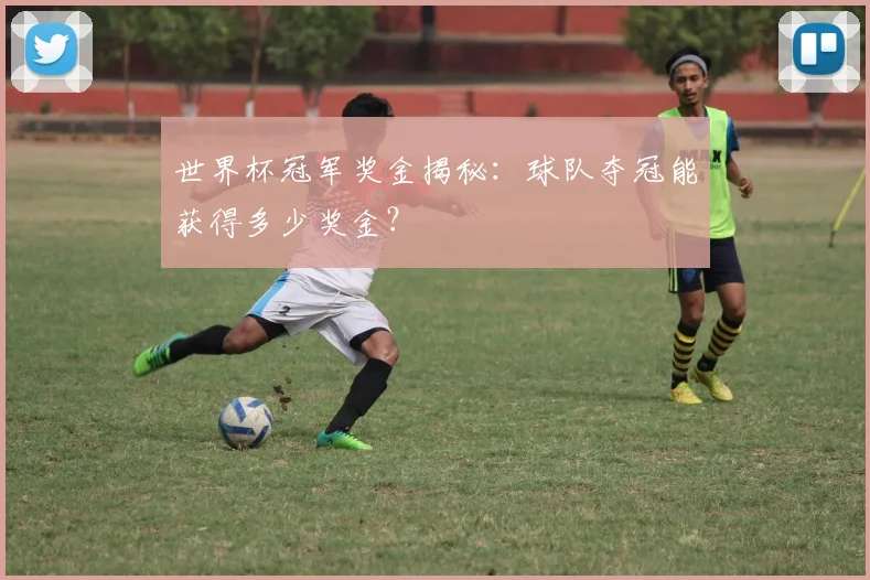世界杯冠军奖金揭秘：球队夺冠能获得多少奖金？