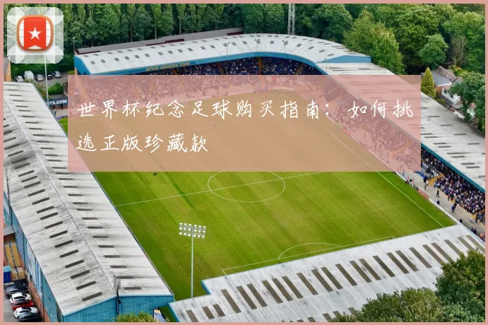 世界杯纪念足球购买指南：如何挑选正版珍藏款