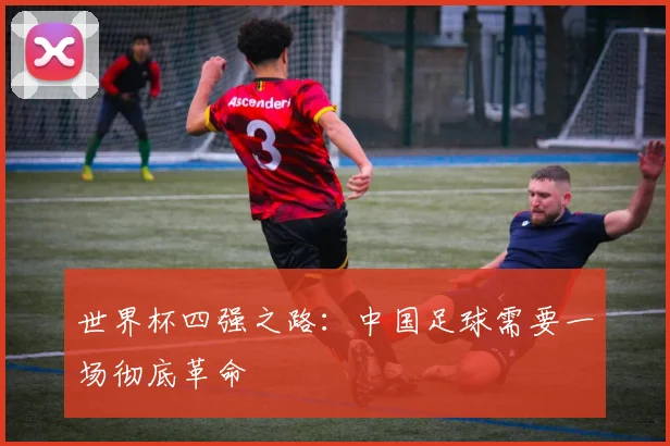 世界杯四强之路:中国足球需要一场彻底革命