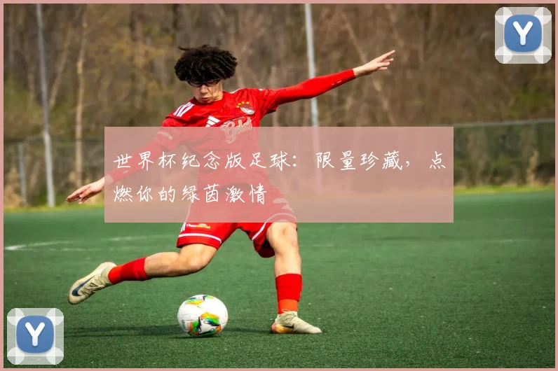 世界杯纪念版足球：限量珍藏，点燃你的绿茵激情
