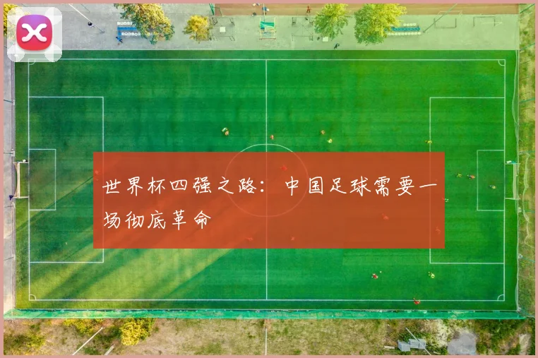 世界杯四强之路:中国足球需要一场彻底革命